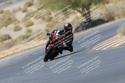 media/May-14-2023-SoCal Trackdays (Sun) [[024eb53b40]]/Turn 5 Tree of Life (1125am)/